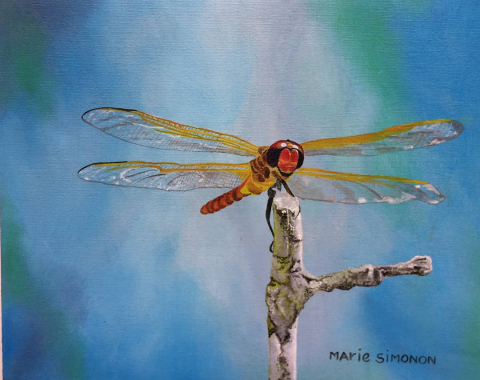 Marie Simonon 2022 Dragonfly #3